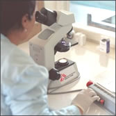 user with microscope