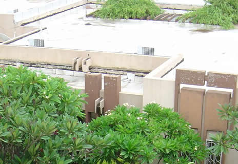 Mali service center office